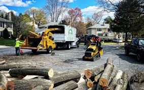 Best Hedge Trimming  in Turpin Hills, OH